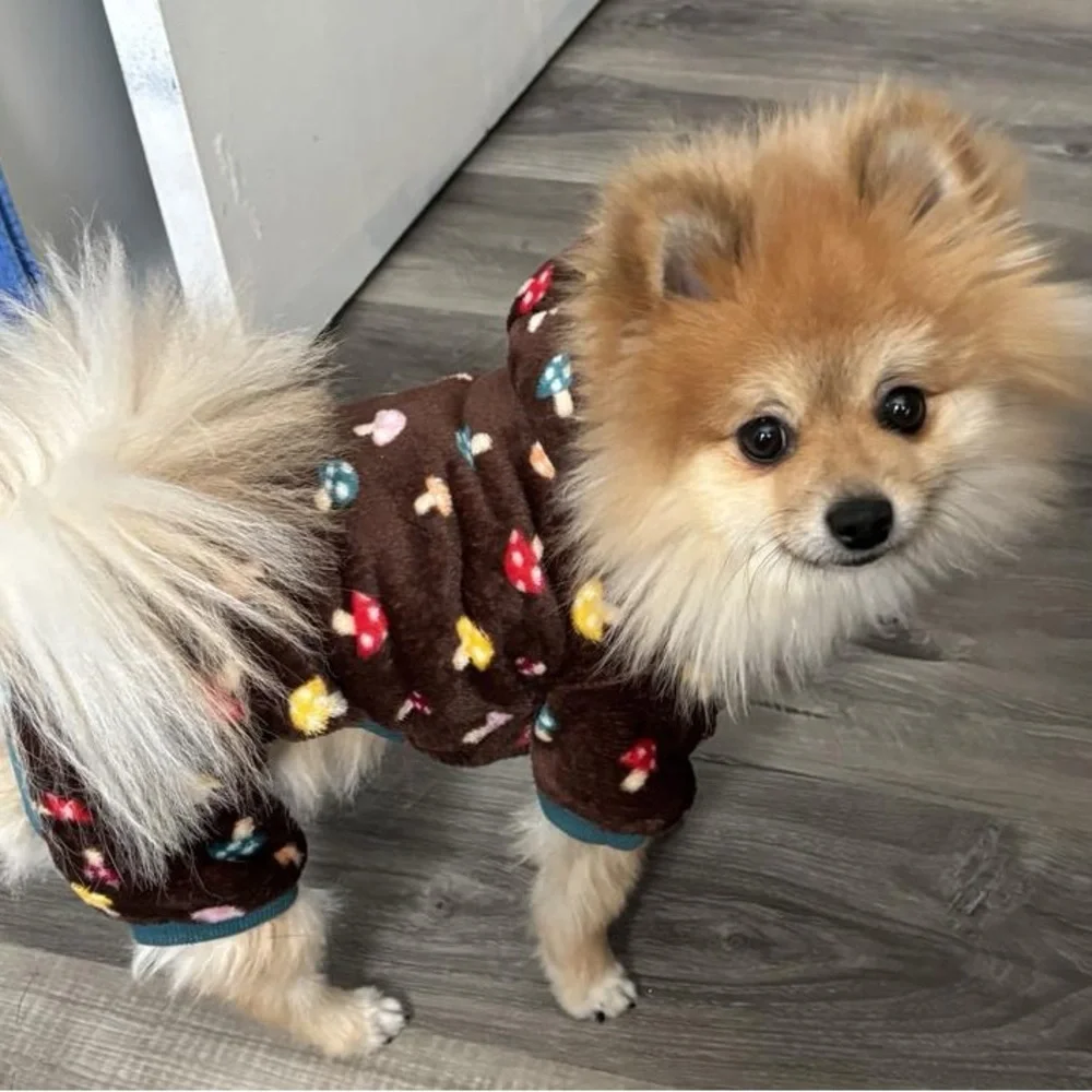 Frisco Cozy Plush Fleece Dog & Cat PJs, Mushrooms, Small